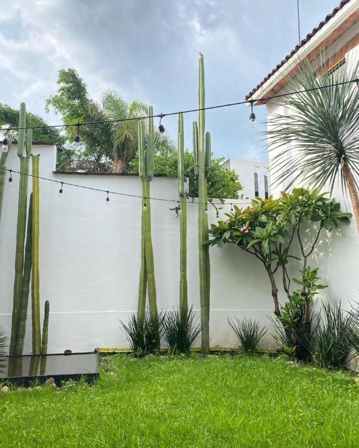 Oaxaca Casa Mayo B&B מראה חיצוני תמונה