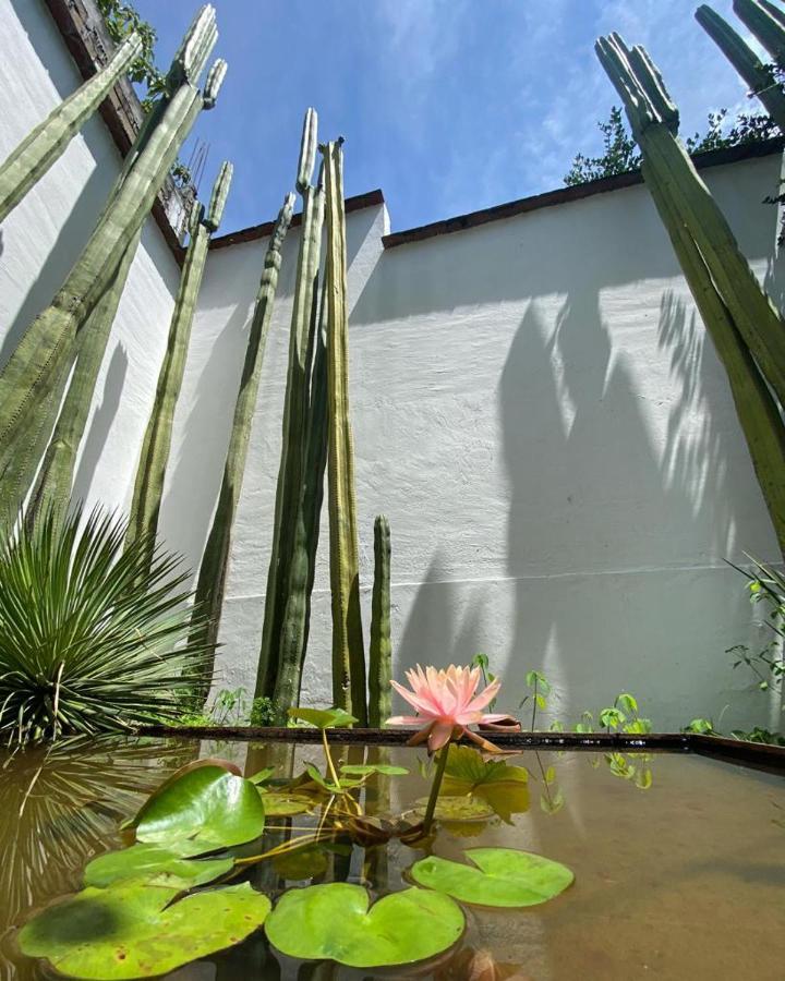 Oaxaca Casa Mayo B&B מראה חיצוני תמונה