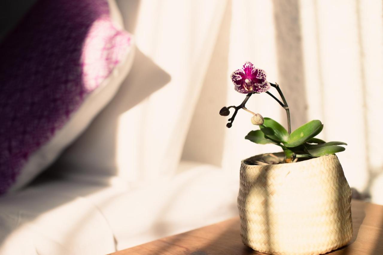 Oaxaca Casa Mayo B&B מראה חיצוני תמונה