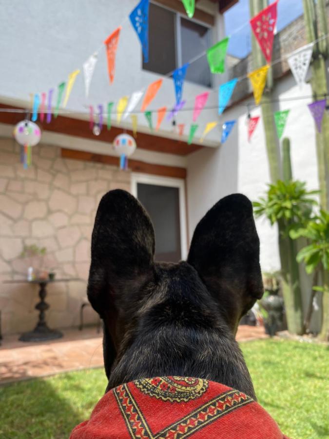 Oaxaca Casa Mayo B&B מראה חיצוני תמונה