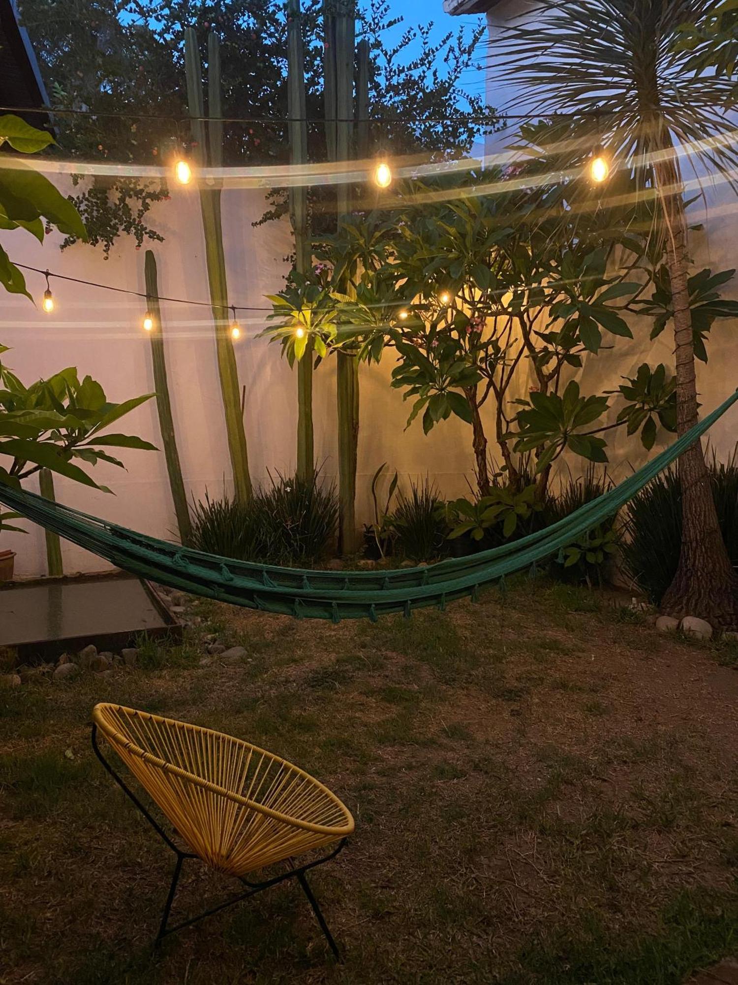 Oaxaca Casa Mayo B&B מראה חיצוני תמונה
